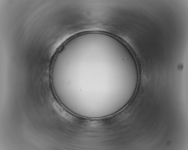 X0000114991460200911161502