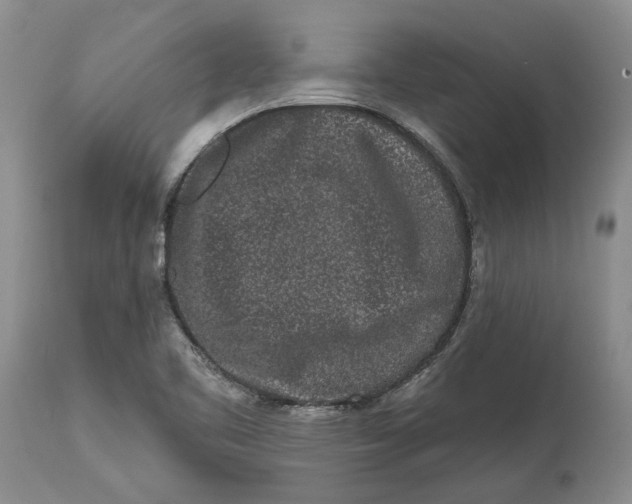 X0000114991461200911161502