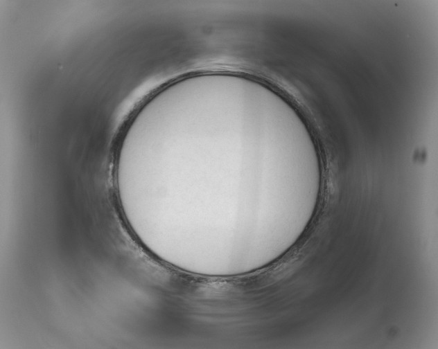 X0000114991462200911161502
