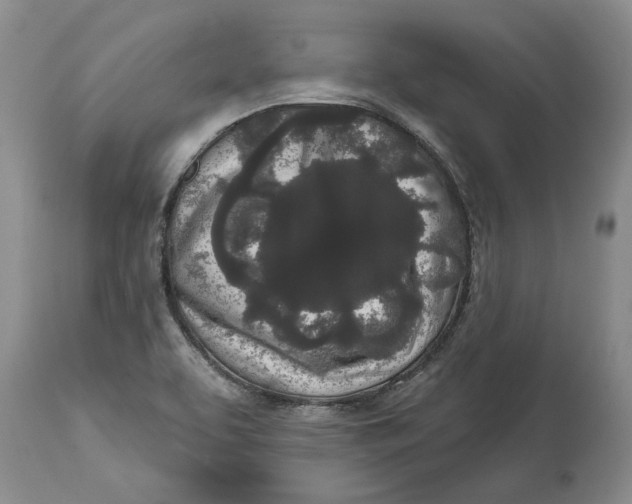 X0000114991463200911161502