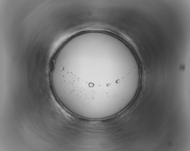 X0000114991464200911161502