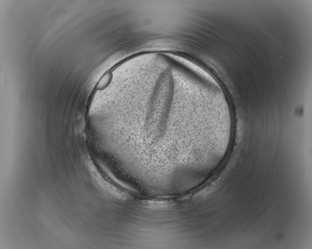 X0000114991465200911161502