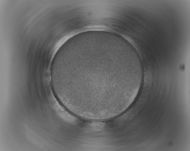 X0000114991466200911161502