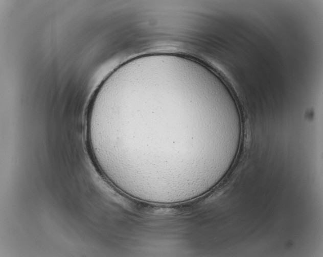 X0000114991467200911161502