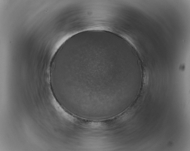 X0000114991468200911161502