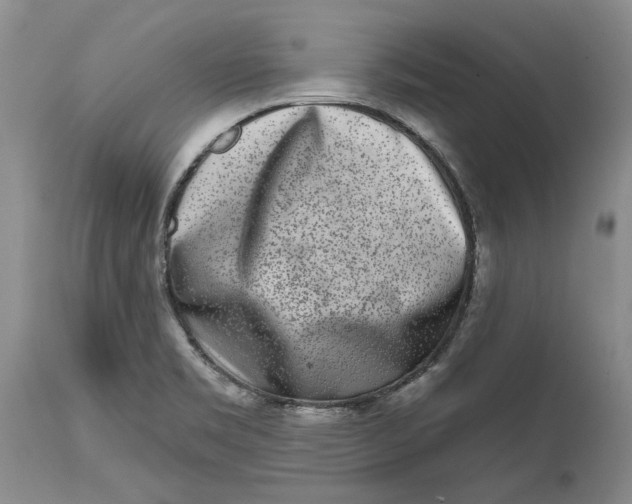 X0000114991469200911161502