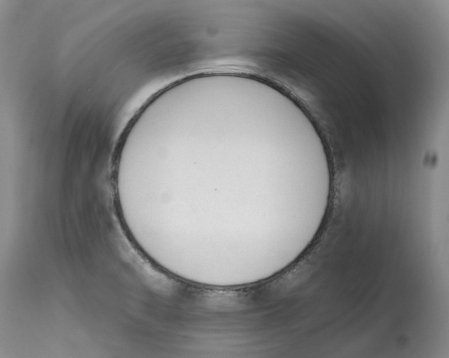 X0000114991470200911161502