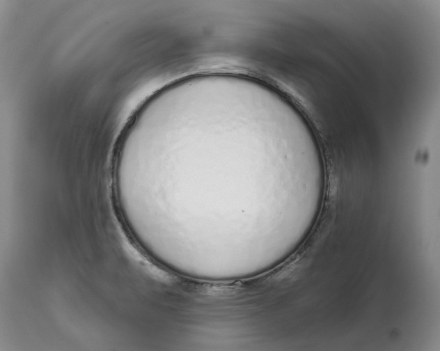 X0000114991471200911161502