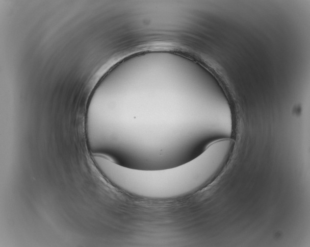X0000114991473200911161502