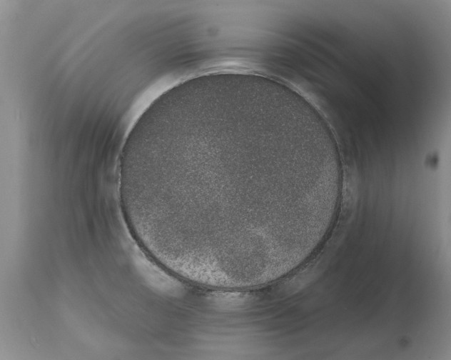 X0000114991474200911161502