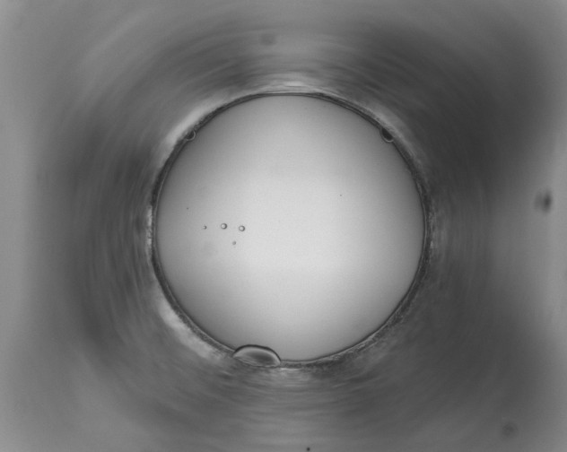 X0000114991476200911161502