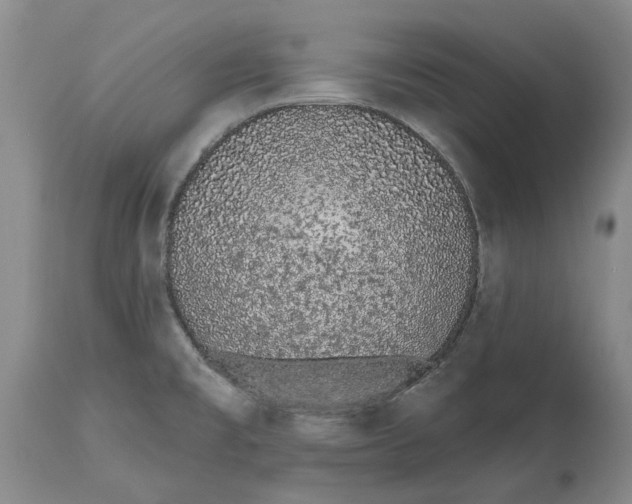 X0000114991477200911161502