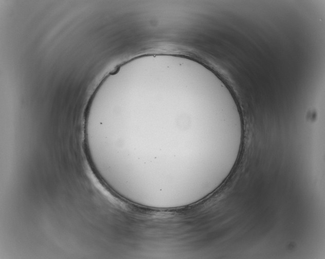 X0000114991479200911161502