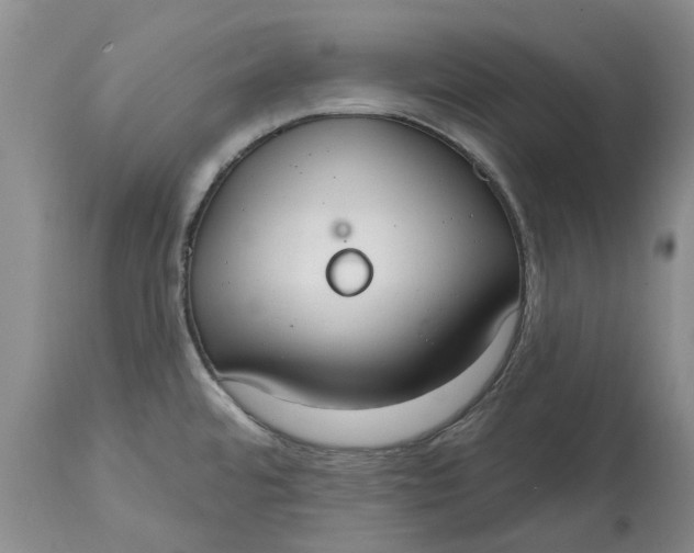 X0000114991480200911161502