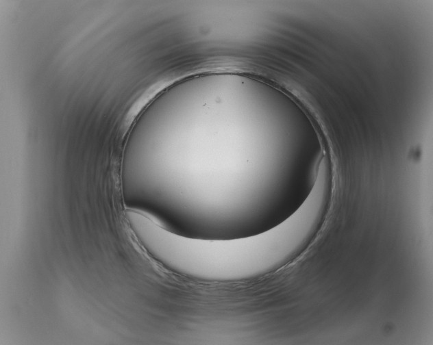 X0000114991481200911161502