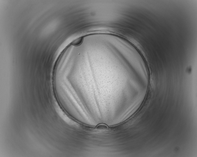 X0000114991482200911161502