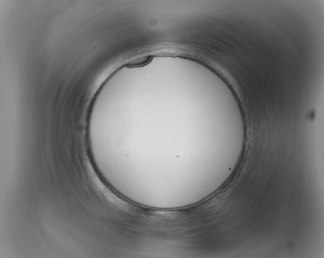 X0000114991483200911161502