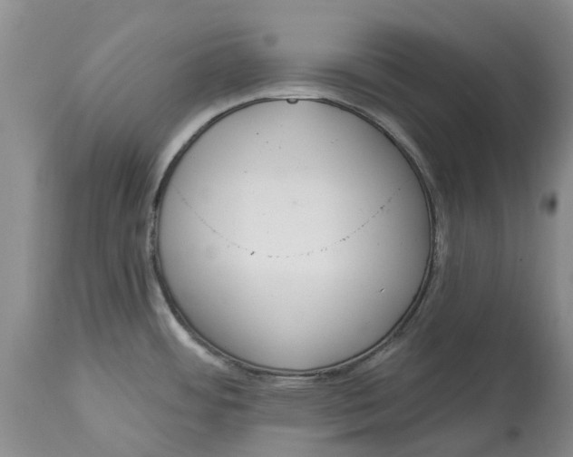 X0000114991484200911161502