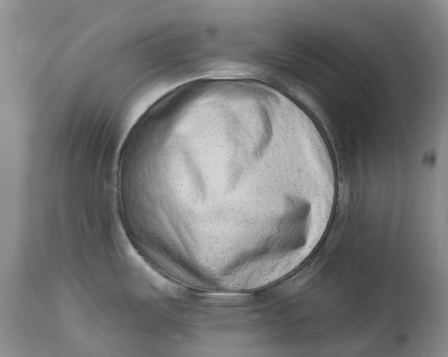 X0000114991487200911161502