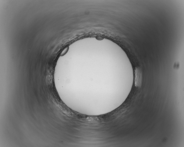 X0000114991491200911161501