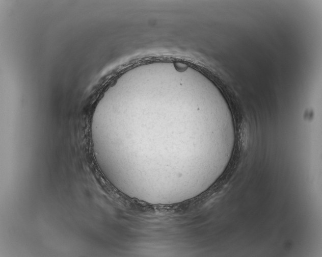 X0000114991494200911161501