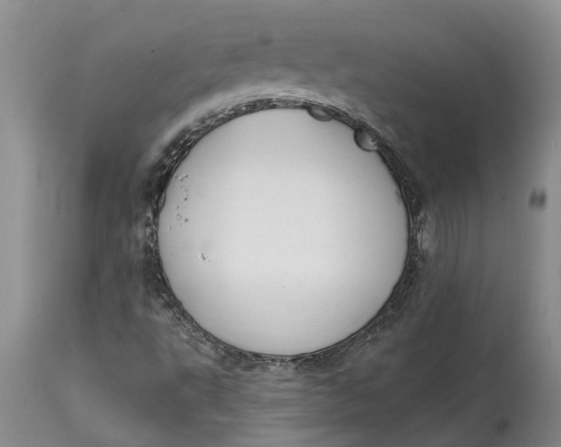 X0000114991495200911161501