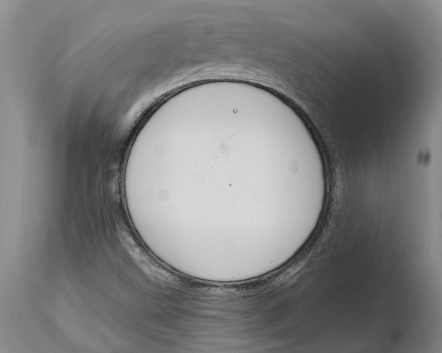 X0000114991499200911161501