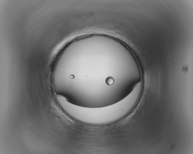 X0000114991502200911161501