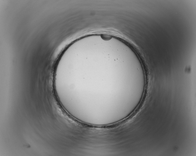 X0000114991506200911161501