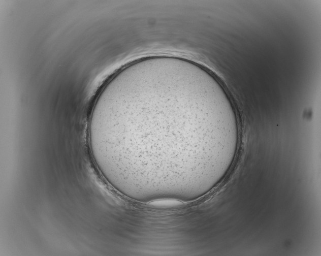 X0000114991507200911161501