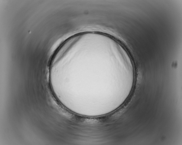 X0000114991509200911161501