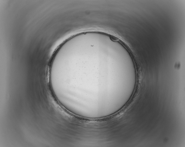 X0000114991510200911161501