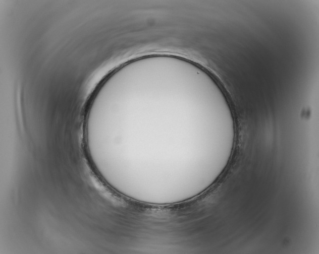 X0000114991511200911161501
