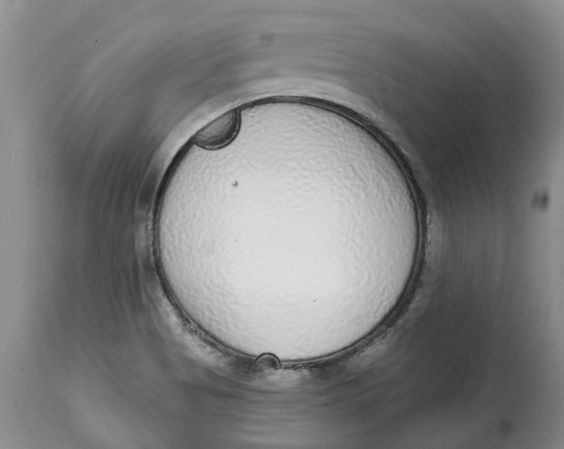 X0000114991513200911161501
