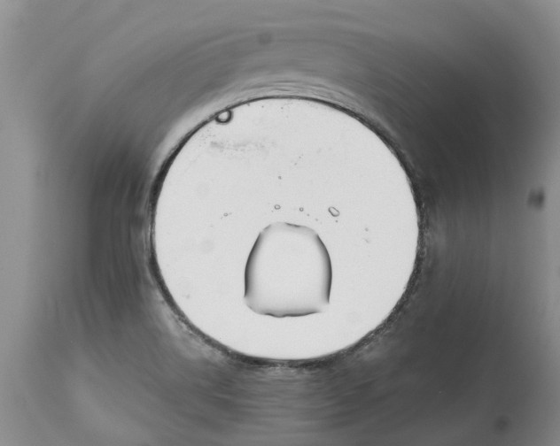 X0000114991514200911161501