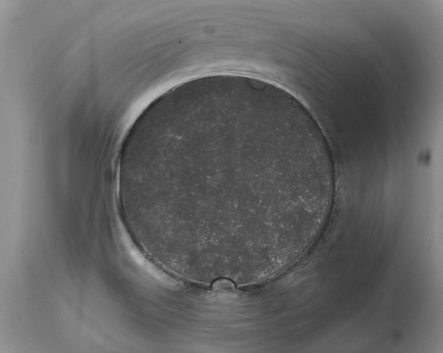 X0000114991515200911161501