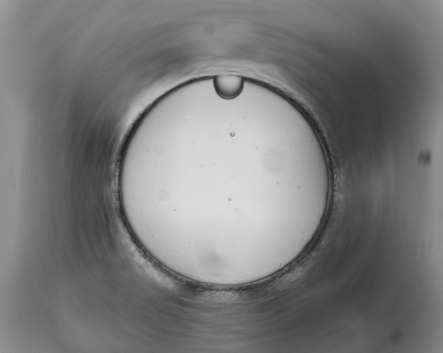 X0000114991517200911161501