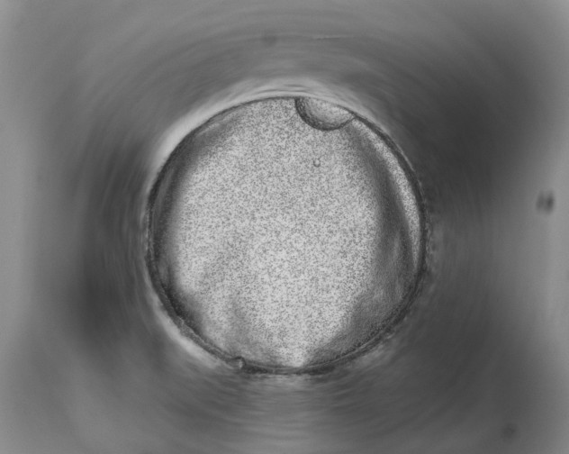 X0000114991519200911161502