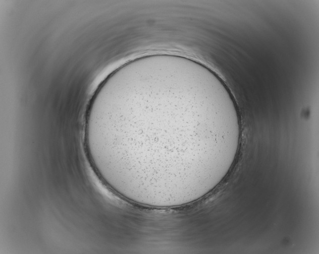 X0000114991523200911161502