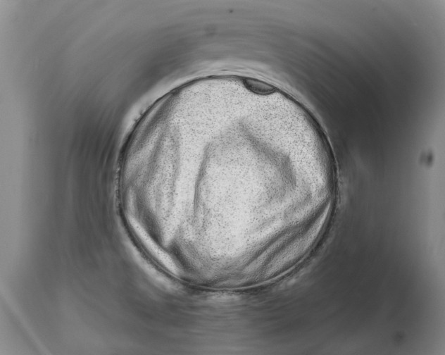X0000114991525200911161502