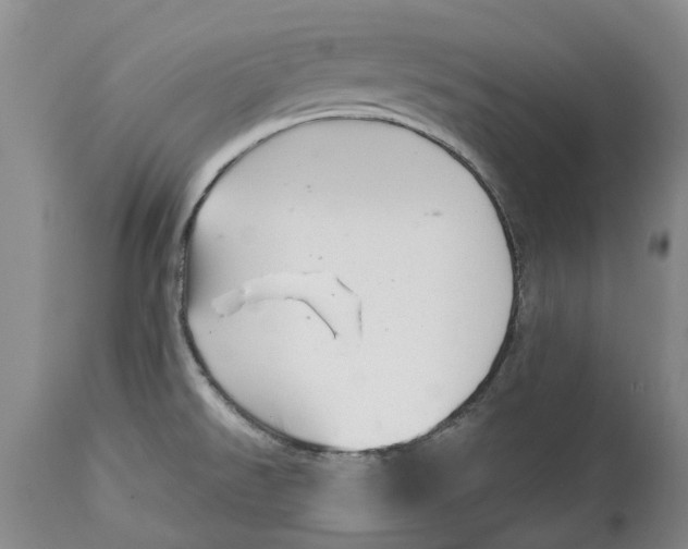 X0000114991526200911161502