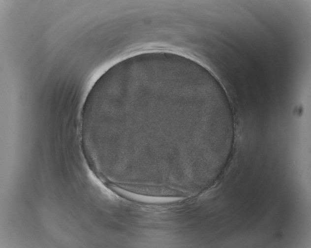X0000114991527200911161502