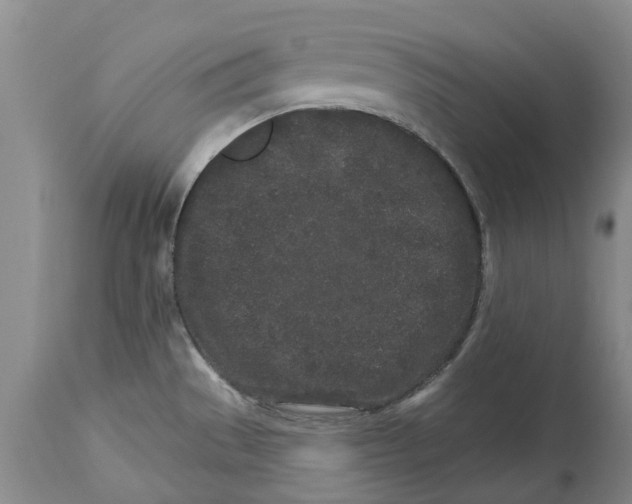 X0000114991529200911161502