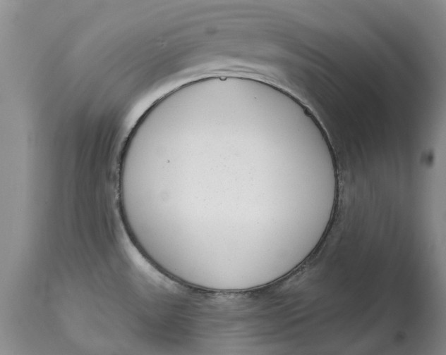X0000114991531200911161502