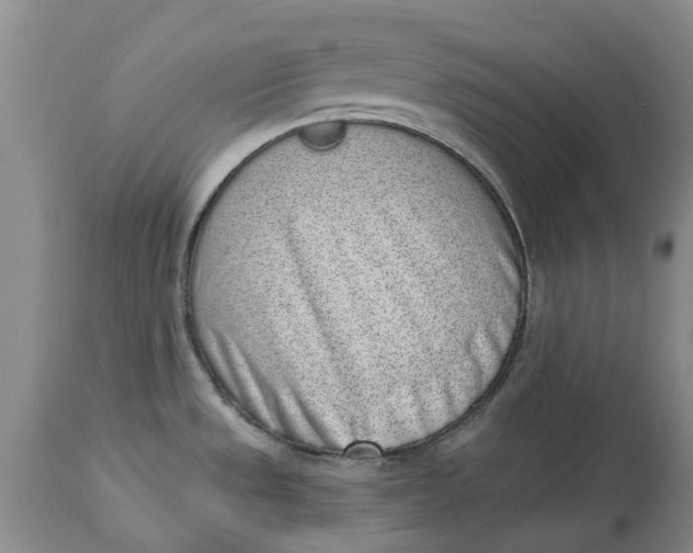 X0000114991533200911161502