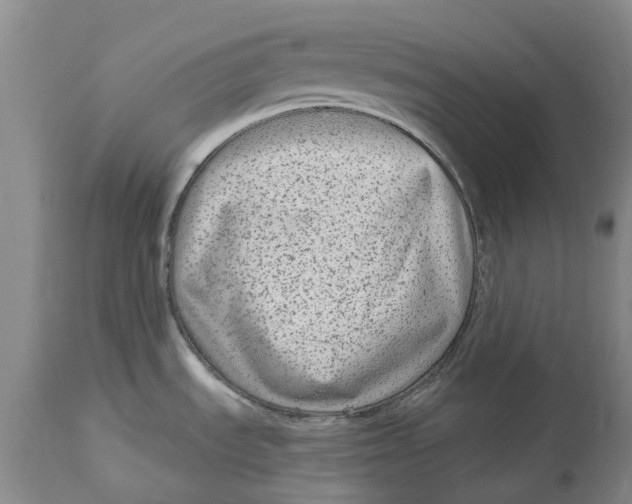 X0000114991535200911161502
