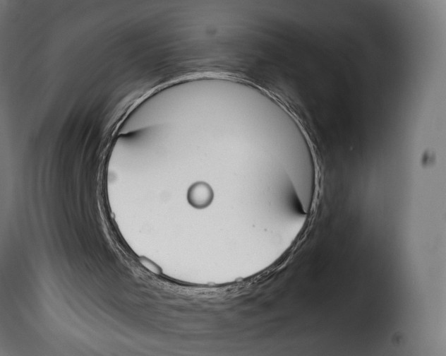 X0000114990001200911231152