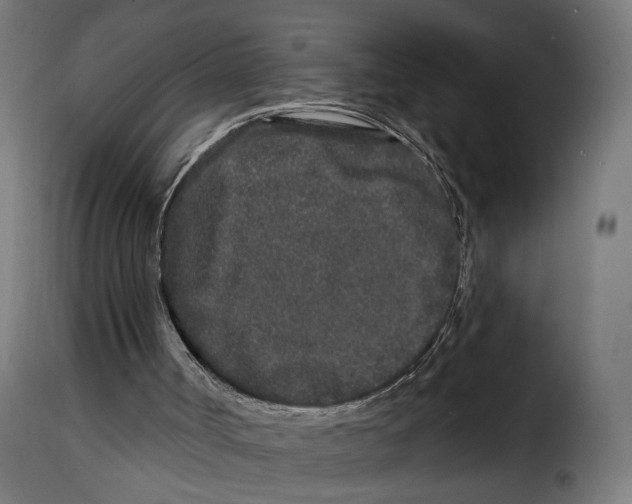 X0000114990002200911231152