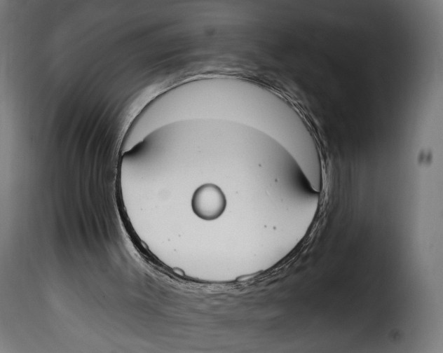 X0000114990003200911231152