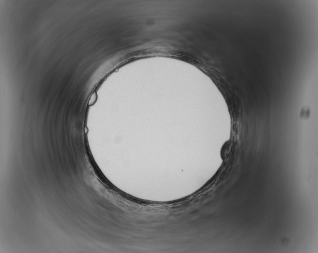 X0000114990004200911231152